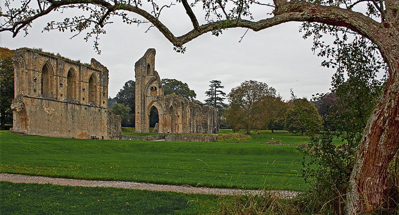 IMG_04614 1000D RAW V2.jpg - Der heilige Weißdorn, Glastonbury Abbey, Somerset